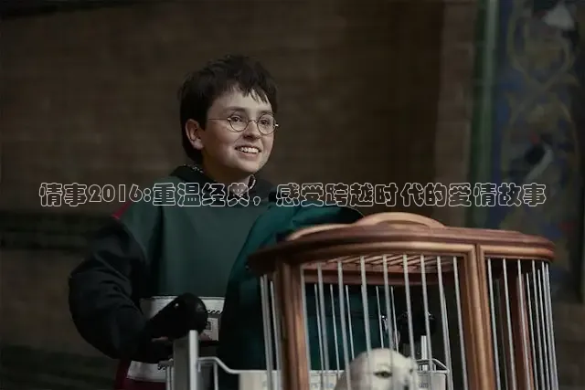 小小影视官网